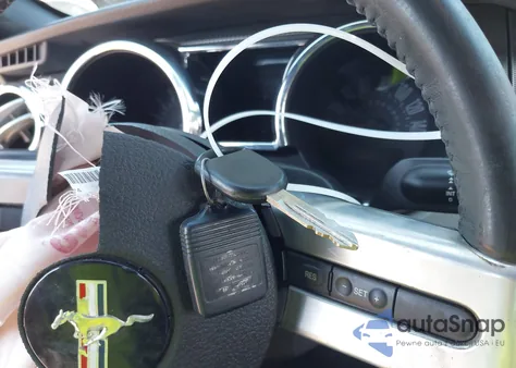 2007 Ford Mustang Gt Deluxe/Gt Premium z USA, uszkodzony, nr VIN 1ZVHT85H775323043